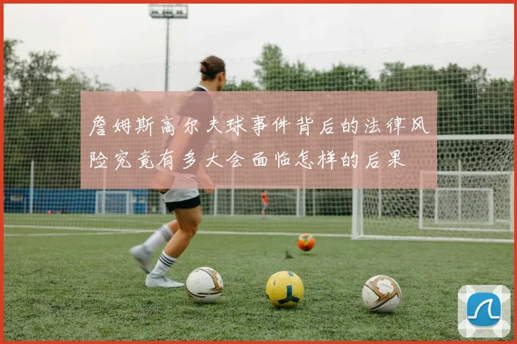 詹姆斯高尔夫球事件背后的法律风险究竟有多大会面临怎样的后果